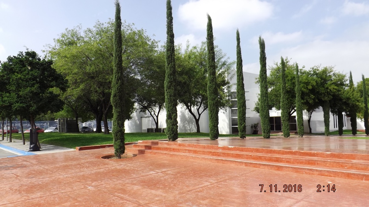 Jardin- Viverdi México Jardinería y Fumigación - viverdimexico.com